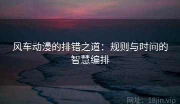 风车动漫的排错之道：规则与时间的智慧编排