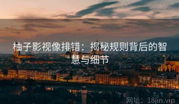 柚子影视像排错：揭秘规则背后的智慧与细节