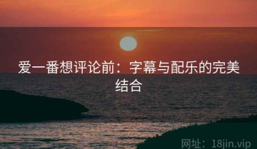 爱一番想评论前：字幕与配乐的完美结合