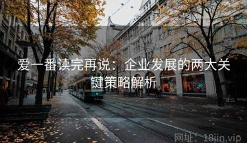 爱一番读完再说：企业发展的两大关键策略解析