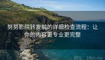 努努影院转发前的详细检查流程：让你的内容更专业更完整