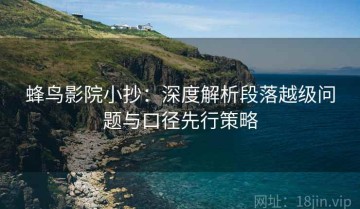 蜂鸟影院小抄：深度解析段落越级问题与口径先行策略