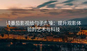 读番茄影视给句子去噪：提升观影体验的艺术与科技