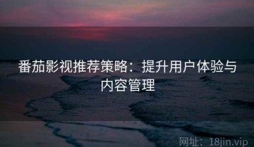 番茄影视推荐策略：提升用户体验与内容管理