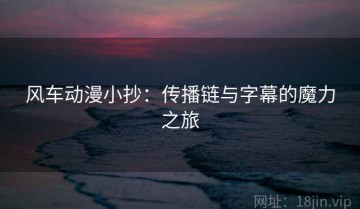 风车动漫小抄：传播链与字幕的魔力之旅