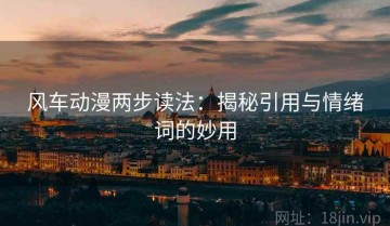 风车动漫两步读法：揭秘引用与情绪词的妙用