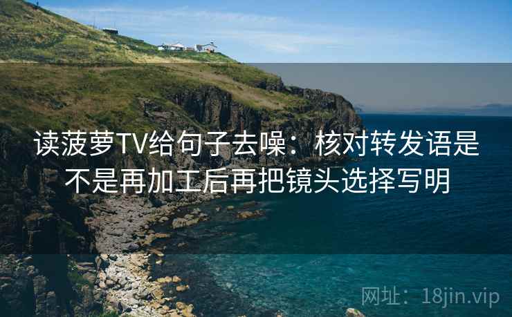 读菠萝TV给句子去噪：核对转发语是不是再加工后再把镜头选择写明