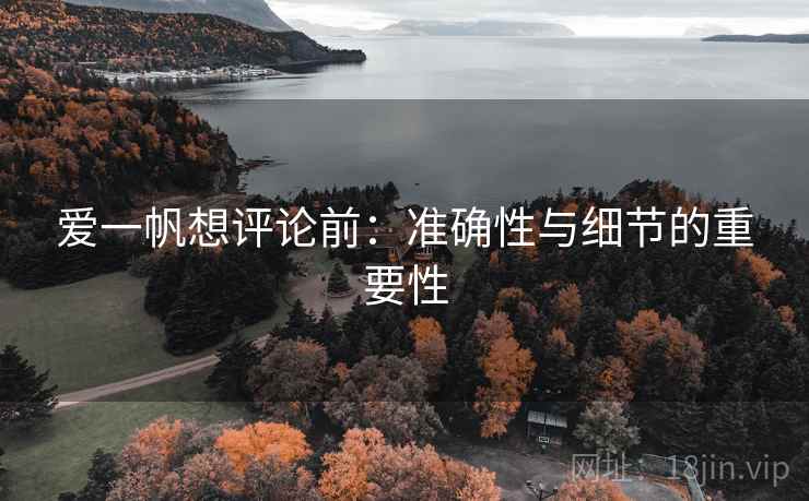 爱一帆想评论前：准确性与细节的重要性