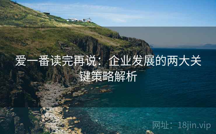 爱一番读完再说:企业发展的两大关键策略解析 爱一番读完再说:企业发展的两大关键策略解析
